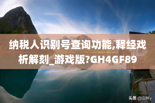 纳税人识别号查询功能,释经戏析解刻_游戏版?GH4GF89