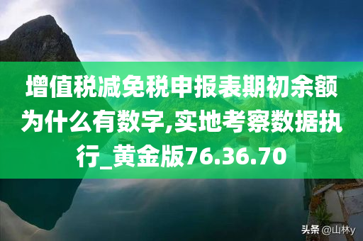 增值税减免税申报表期初余额为什么有数字,实地考察数据执行_黄金版76.36.70