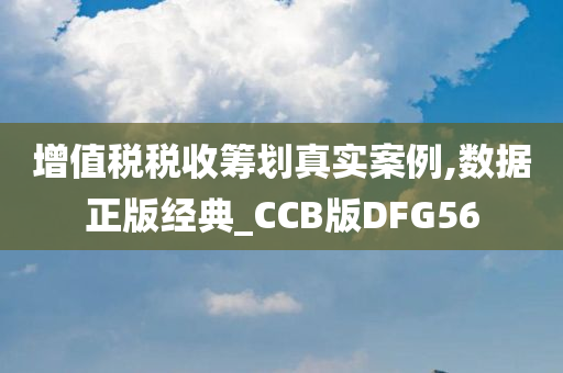 增值税税收筹划真实案例,数据正版经典_CCB版DFG56