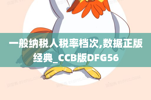 一般纳税人税率档次,数据正版经典_CCB版DFG56