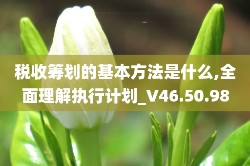 税收筹划的基本方法是什么,全面理解执行计划_V46.50.98