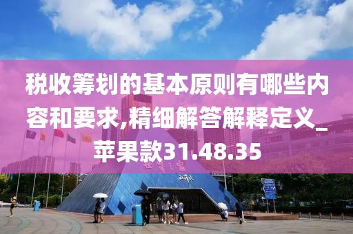 税收筹划的基本原则有哪些内容和要求,精细解答解释定义_苹果款31.48.35