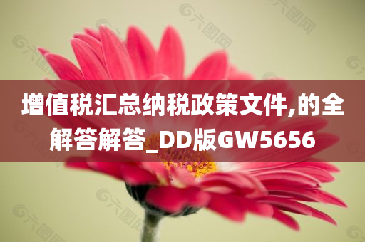 增值税汇总纳税政策文件,的全解答解答_DD版GW5656