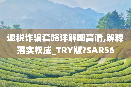 退税诈骗套路详解图高清,解释落实权威_TRY版?SAR56