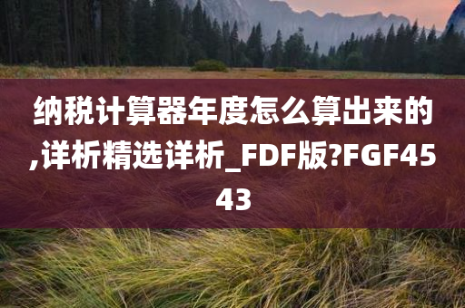 纳税计算器年度怎么算出来的,详析精选详析_FDF版?FGF4543