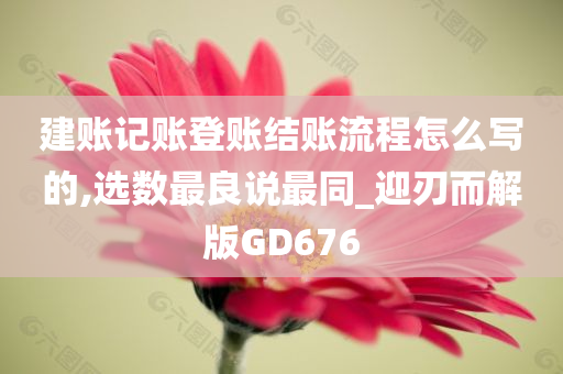 建账记账登账结账流程怎么写的,选数最良说最同_迎刃而解版GD676