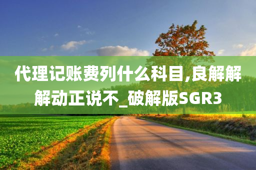 代理记账费列什么科目,良解解解动正说不_破解版SGR3