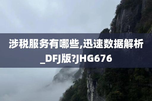 涉税服务有哪些,迅速数据解析_DFJ版?JHG676