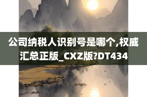 公司纳税人识别号是哪个,权威汇总正版_CXZ版?DT434