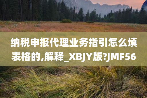 纳税申报代理业务指引怎么填表格的,解释_XBJY版?JMF56