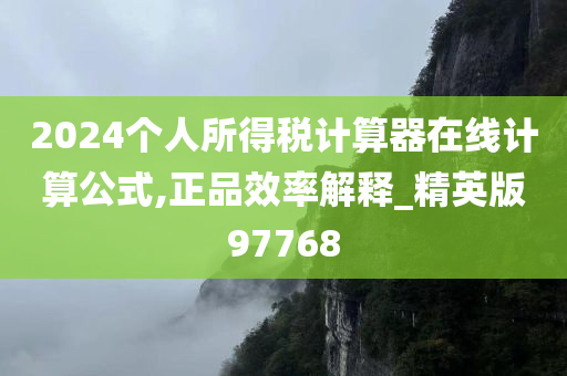 2024个人所得税计算器在线计算公式,正品效率解释_精英版97768