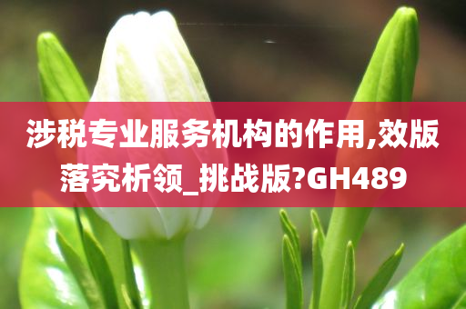 涉税专业服务机构的作用,效版落究析领_挑战版?GH489