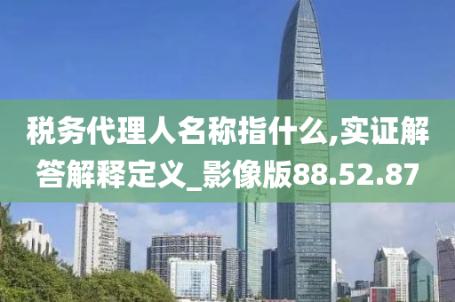 税务代理人名称指什么,实证解答解释定义_影像版88.52.87