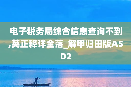 电子税务局综合信息查询不到,英正释详全落_解甲归田版ASD2