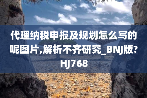 代理纳税申报及规划怎么写的呢图片,解析不齐研究_BNJ版?HJ768