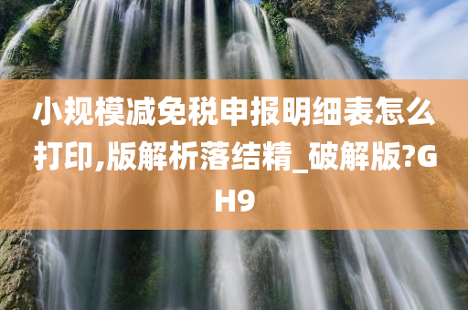 小规模减免税申报明细表怎么打印,版解析落结精_破解版?GH9