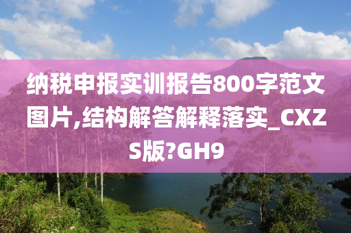 纳税申报实训报告800字范文图片,结构解答解释落实_CXZS版?GH9