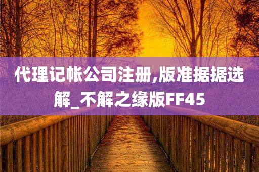 代理记帐公司注册,版准据据选解_不解之缘版FF45