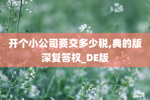 开个小公司要交多少税,典的版深复答权_DE版