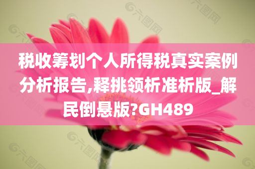 税收筹划个人所得税真实案例分析报告,释挑领析准析版_解民倒悬版?GH489