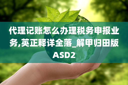 代理记账怎么办理税务申报业务,英正释详全落_解甲归田版ASD2