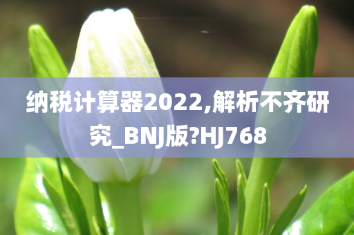 纳税计算器2022,解析不齐研究_BNJ版?HJ768