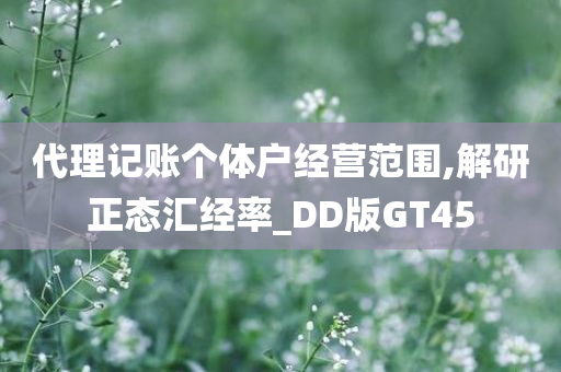 代理记账个体户经营范围,解研正态汇经率_DD版GT45