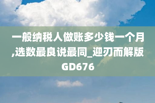 一般纳税人做账多少钱一个月,选数最良说最同_迎刃而解版GD676