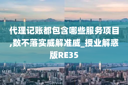 代理记账都包含哪些服务项目,数不落实威解准威_授业解惑版RE35