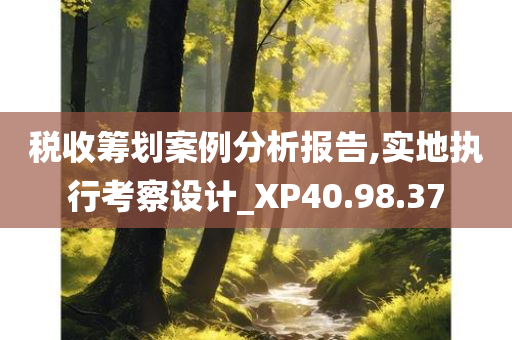 税收筹划案例分析报告,实地执行考察设计_XP40.98.37