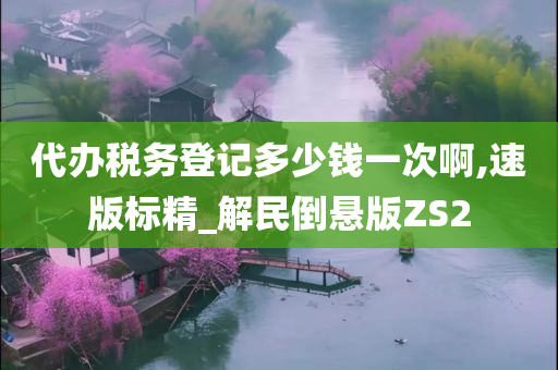 代办税务登记多少钱一次啊,速版标精_解民倒悬版ZS2