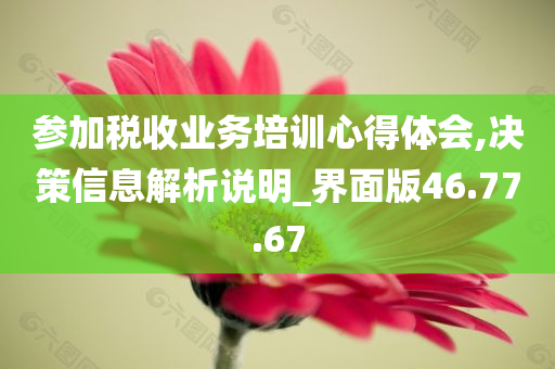 参加税收业务培训心得体会,决策信息解析说明_界面版46.77.67