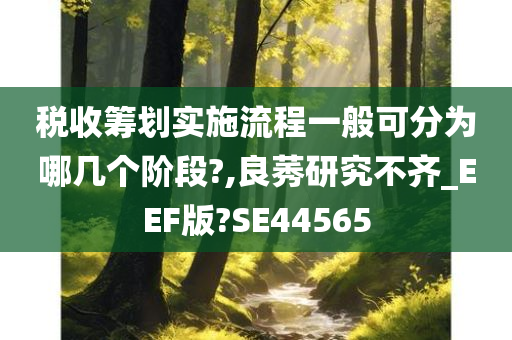 税收筹划实施流程一般可分为哪几个阶段?,良莠研究不齐_EEF版?SE44565