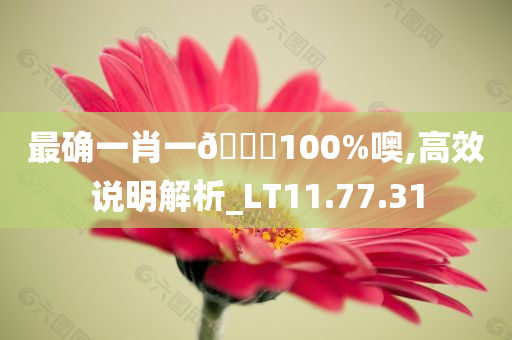 最确一肖一🐎100%噢,高效说明解析_LT11.77.31