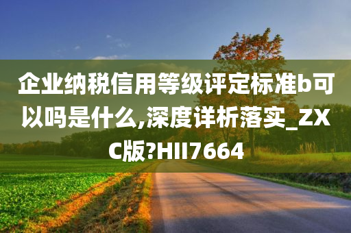 企业纳税信用等级评定标准b可以吗是什么,深度详析落实_ZXC版?HII7664