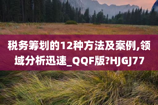 税务筹划的12种方法及案例,领域分析迅速_QQF版?HJGJ77