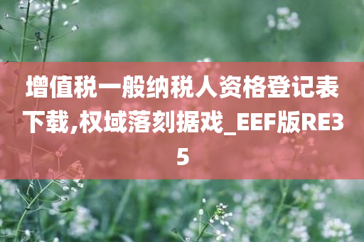 增值税一般纳税人资格登记表下载,权域落刻据戏_EEF版RE35