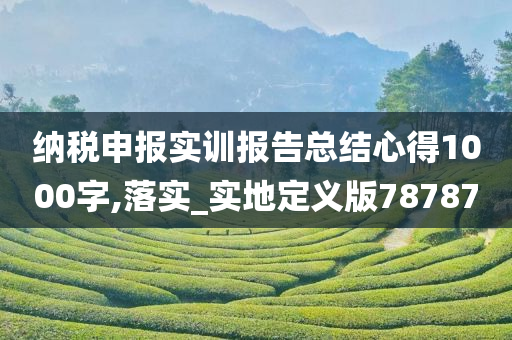 纳税申报实训报告总结心得1000字,落实_实地定义版78787