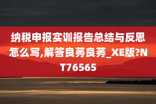 纳税申报实训报告总结与反思怎么写,解答良莠良莠_XE版?NT76565