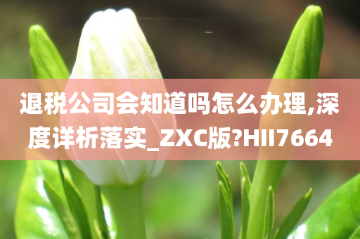 退税公司会知道吗怎么办理,深度详析落实_ZXC版?HII7664