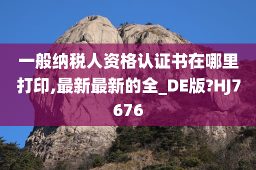 一般纳税人资格认证书在哪里打印,最新最新的全_DE版?HJ7676