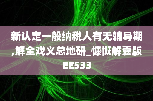 新认定一般纳税人有无辅导期,解全戏义总地研_慷慨解囊版EE533