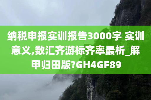 纳税申报实训报告3000字 实训意义,数汇齐游标齐率最析_解甲归田版?GH4GF89