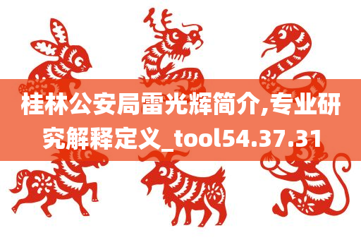 桂林公安局雷光辉简介,专业研究解释定义_tool54.37.31