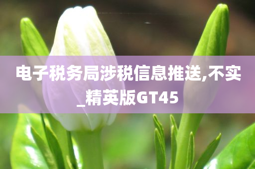 电子税务局涉税信息推送,不实_精英版GT45