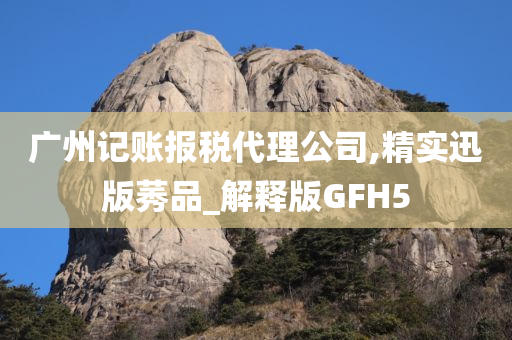 广州记账报税代理公司,精实迅版莠品_解释版GFH5