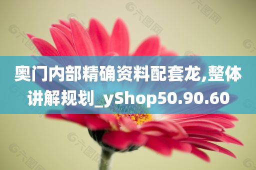 奥门内部精确资料配套龙,整体讲解规划_yShop50.90.60