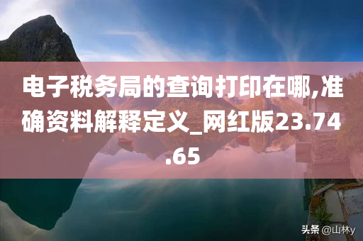 电子税务局的查询打印在哪,准确资料解释定义_网红版23.74.65