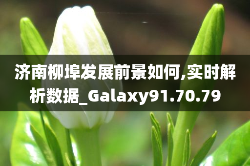 济南柳埠发展前景如何,实时解析数据_Galaxy91.70.79