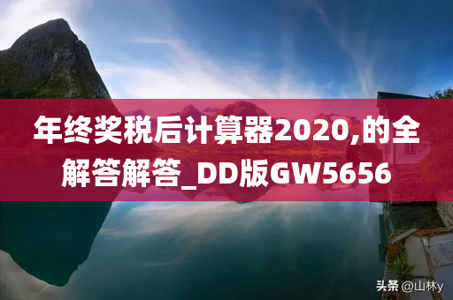 年终奖税后计算器2020,的全解答解答_DD版GW5656